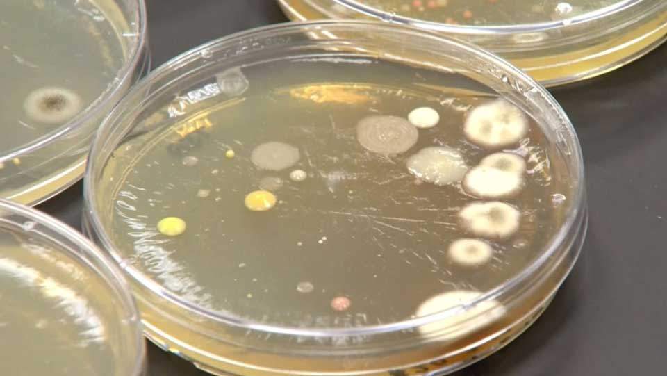 Lab tests show your money can be incredibly dirty