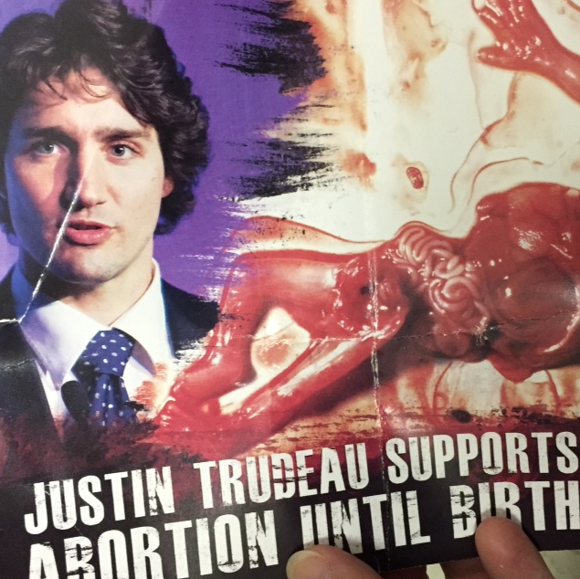 Partial image of flyer delivered to Saskatoon residents as part of no2trudeau campaign.