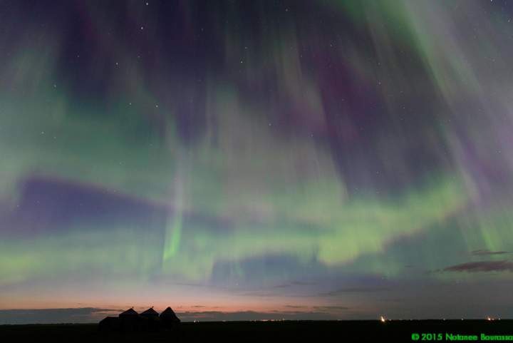 Aurora light west of Regina, Saskatchewan.