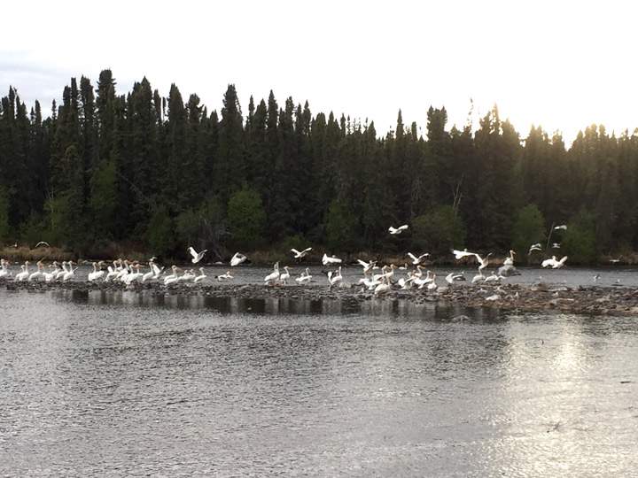 June 7: This Your Saskatchewan photo was taken by Merrill Donson at Descharme Lake.