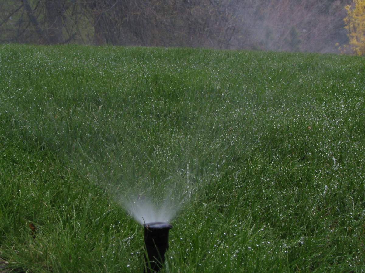 Vernon and Okanagan first nation officials urge water conservation - image