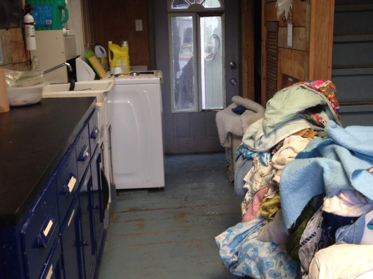 Hope for Wildlife says it needs towels after its washing machine broke.