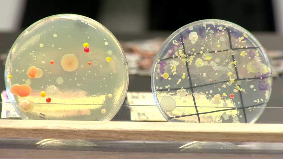 Lab tests show your money can be incredibly dirty