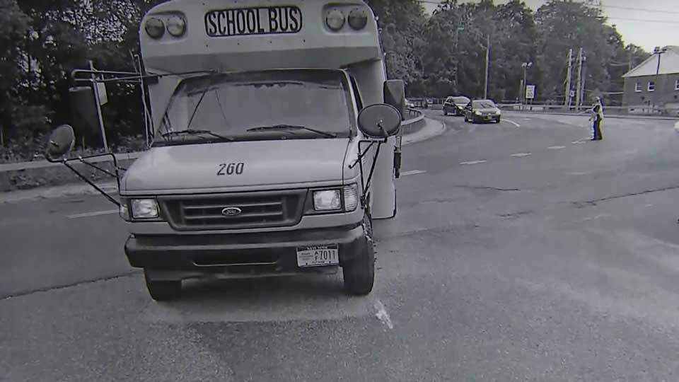 Service dog jumps in front of bus to protect visually impaired owner
