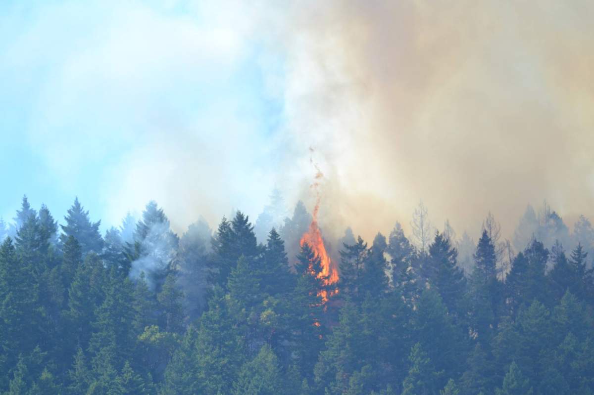 A fire burns near Sechelt, B.C. on July 2, 2015. 