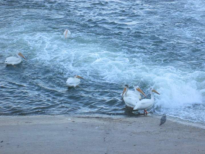 July 31: This Your Saskatchewan photo was taken by Suzanne Nakagawa in Saskatoon.