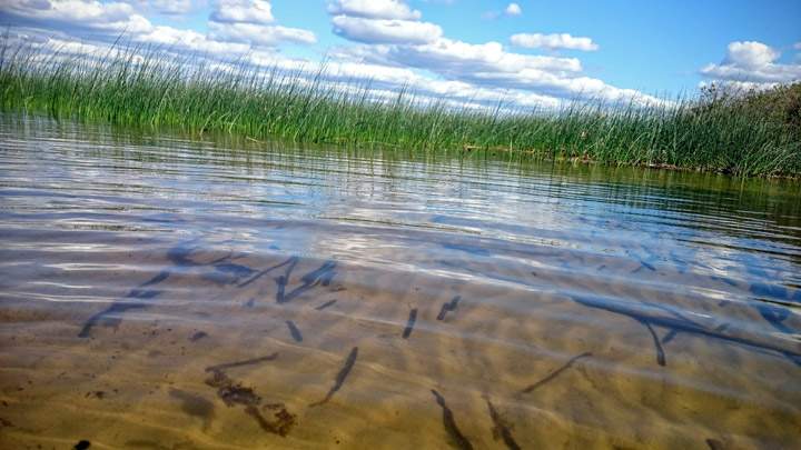 Aug. 1: Kirsten Morin took this Your Saskatchewan picture at Île-à-la-Crosse.
