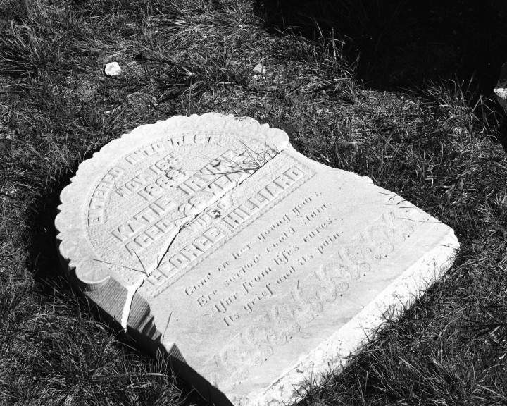 Pioneer Cemetery sheds light on Saskatoon’s first residents - image