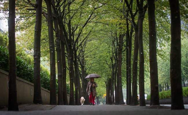 Metro Vancouver has returned to Stage 2 water restrictions.