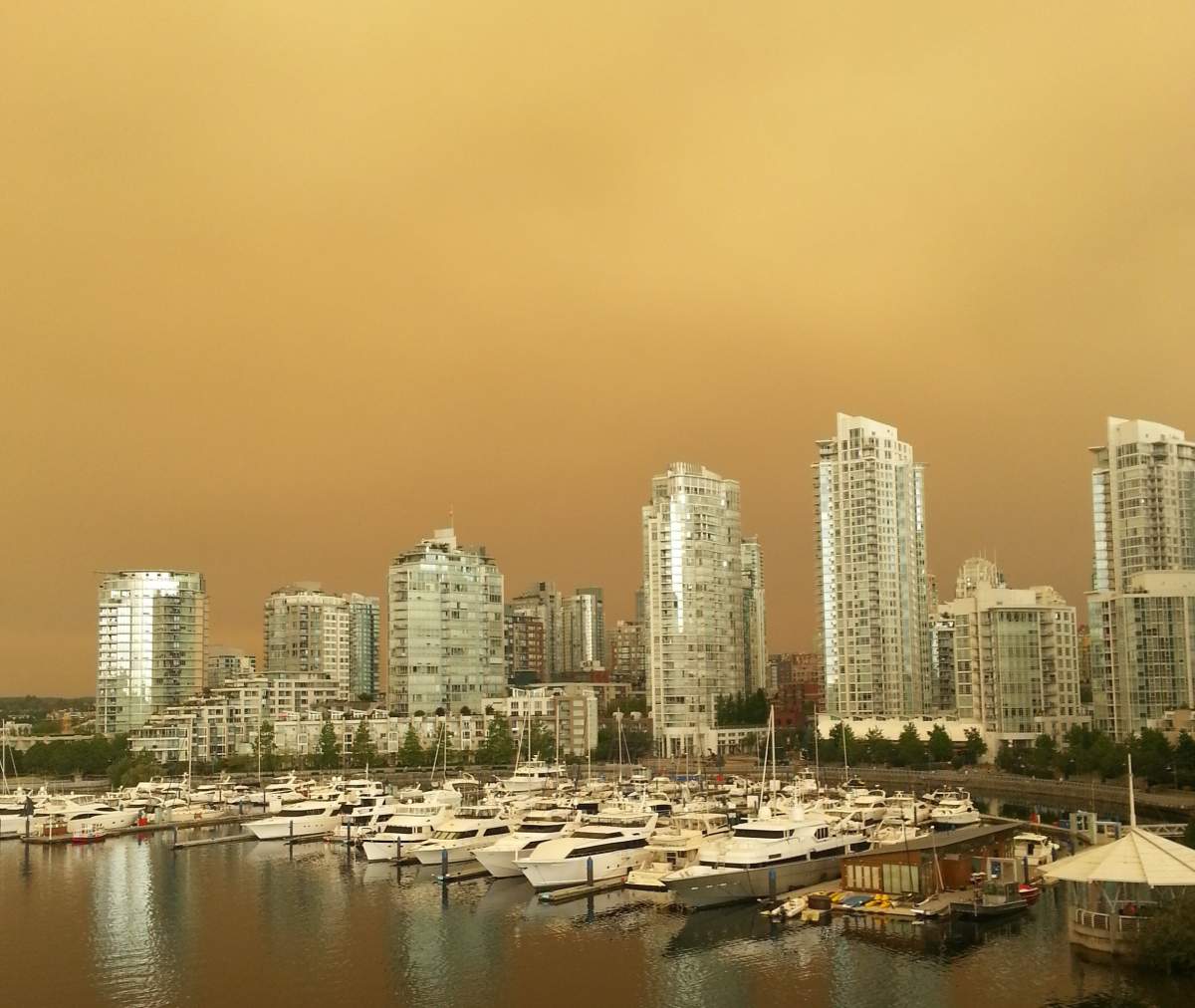PHOTOS: Fires create haze blanketing B.C. in sea of yellow and orange - image