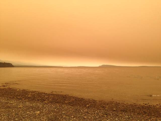 Antoneta P – Qualicum Beach