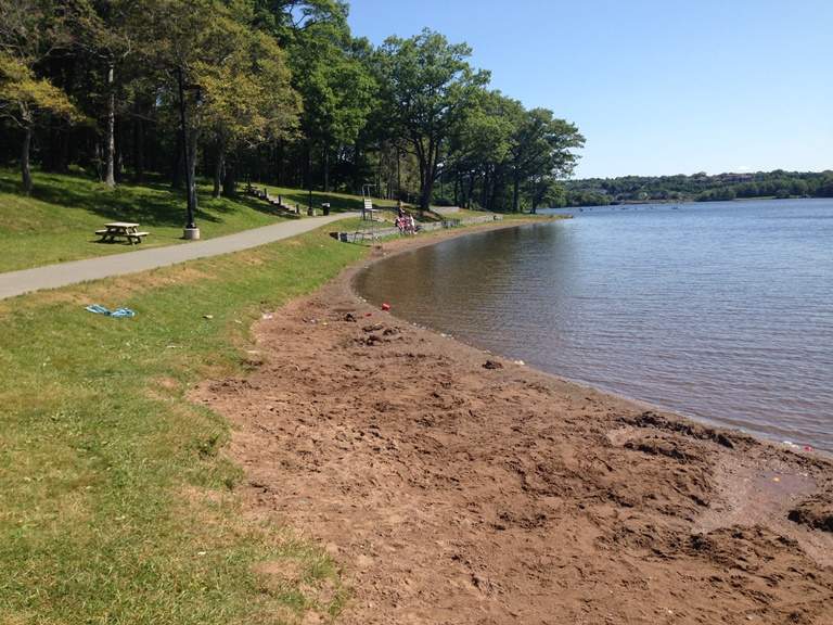 The Halifax Regional Municipality is advising residents that due to the presence of a possible blue-green algae bloom, a risk advisory is in effect for Birch Cove Beach on Lake Banook. 