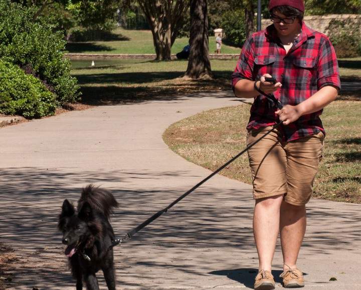 A young man walks his dog while using a cell phone.