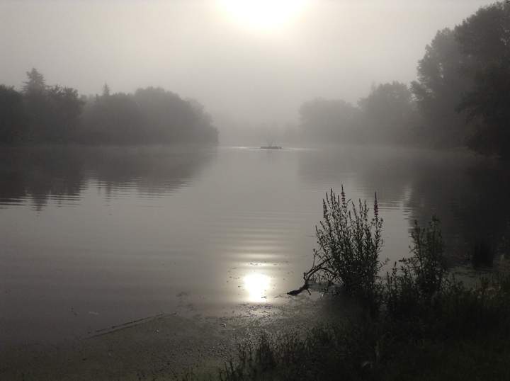 Fog Winnipeg Chancellor Drive weather