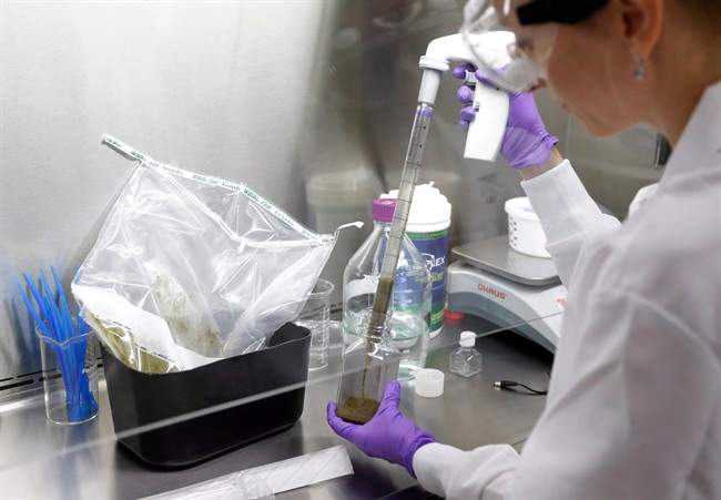 Technical assistant Eliska Didyk transfers human fecal matter solution into a bottle in an OpenBiome laboratory, in Medford, Mass., on June 19, 2014.
