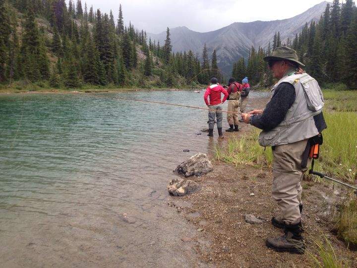 Trout recovery project