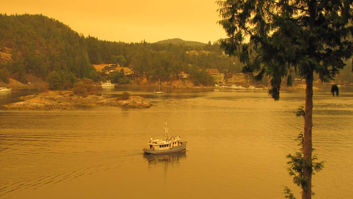 Gaylene Lueger – Pender Harbour