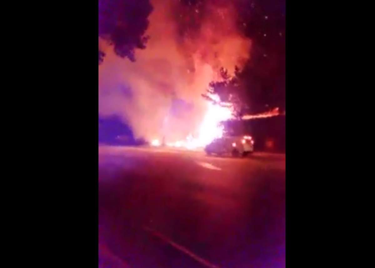 Rutland hedge fire suspicious - image