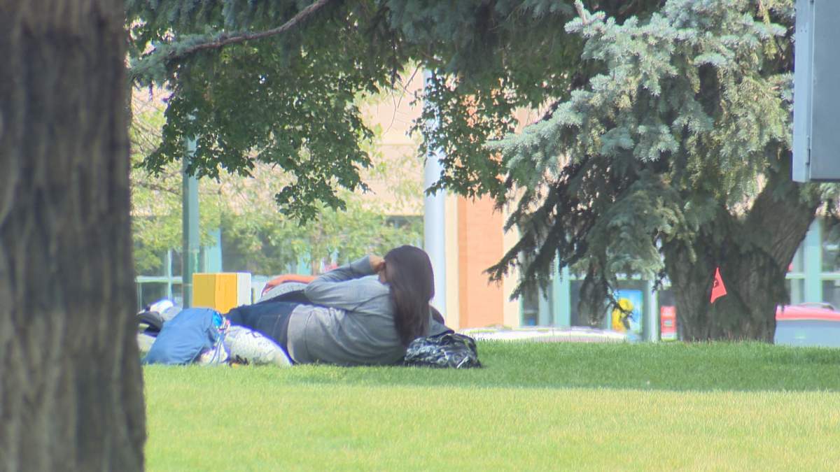 With the temperature near 30 degrees, many are seeking shade.  