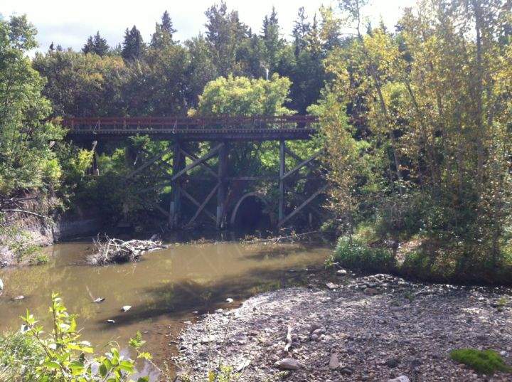 Mill Creek Ravine Edmonton