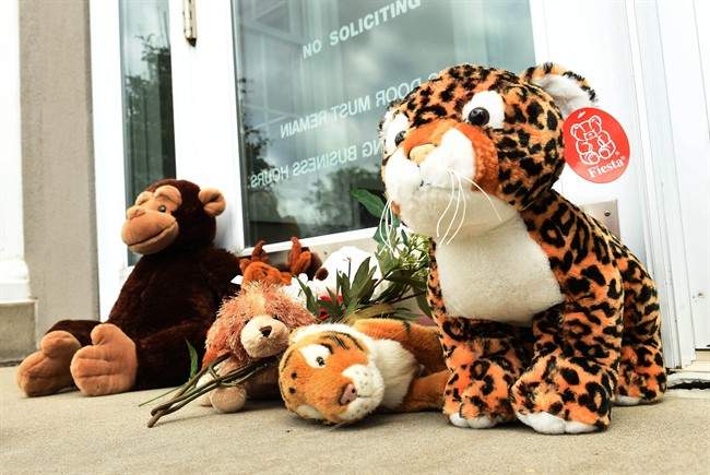 Stuffed animals adorn the doorstep of Dr. Walter Palmer\’s River Bluff Dental office in Bloomington, Minn., Tuesday, July 28, 2015.