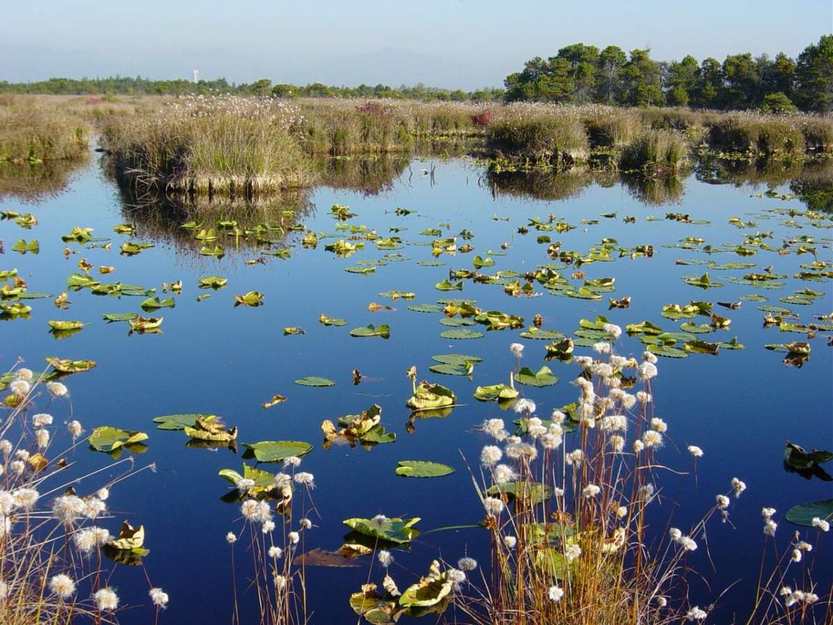 The Delta Nature Reserve.