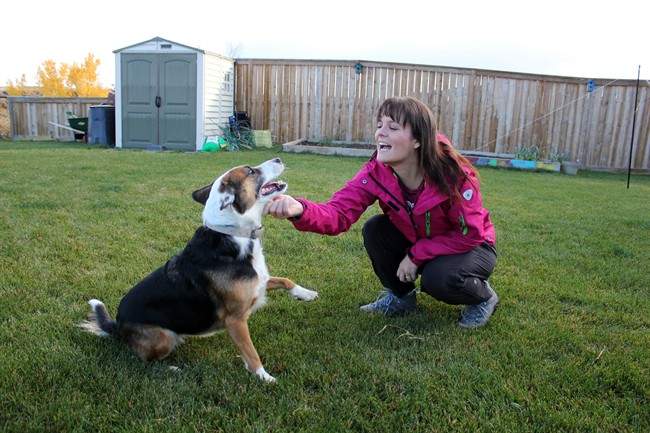 How to clinch good pet care at home when vacation beckons