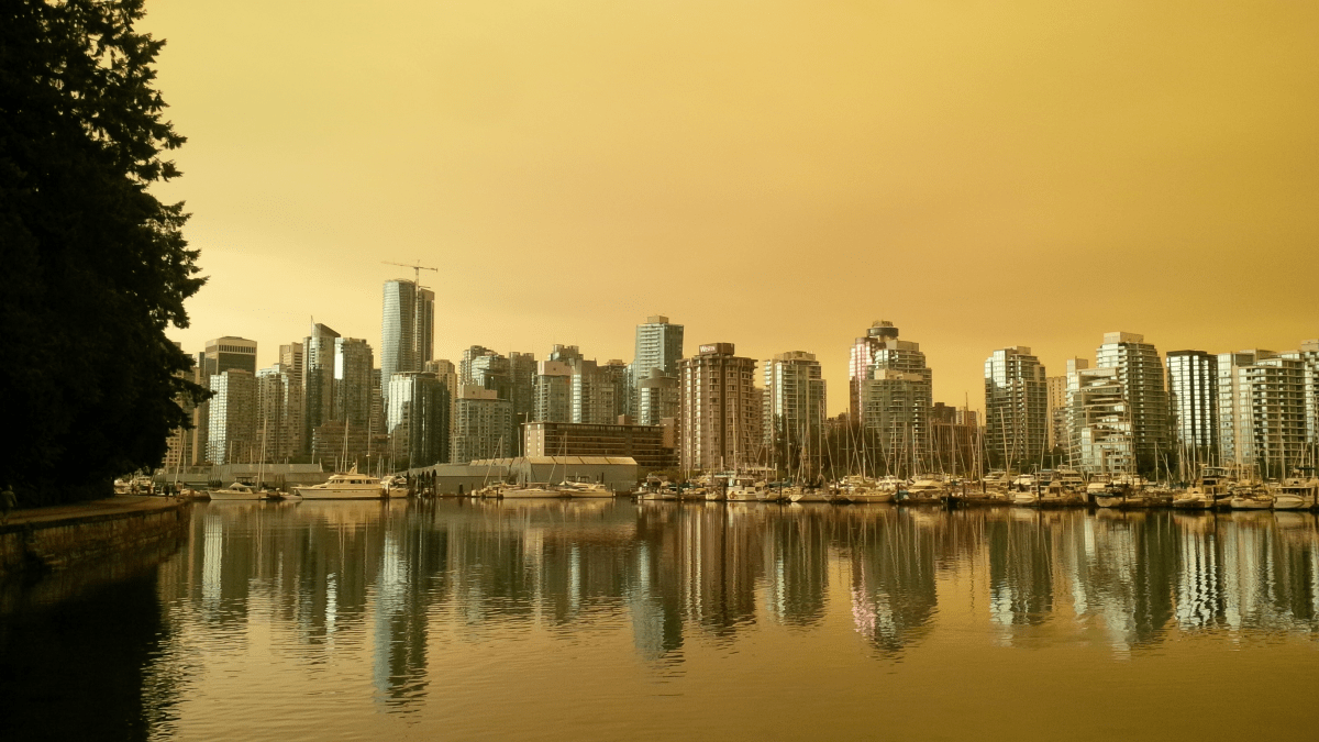 Rob Asquith – Coal Harbour