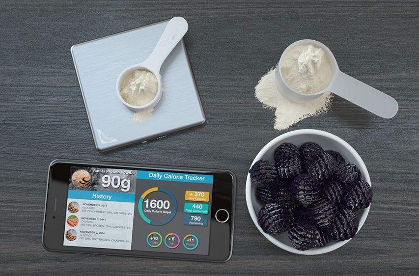 Slate Scale provides a daily/monthly log for calories, carbs, proteins, fats and personal targets.