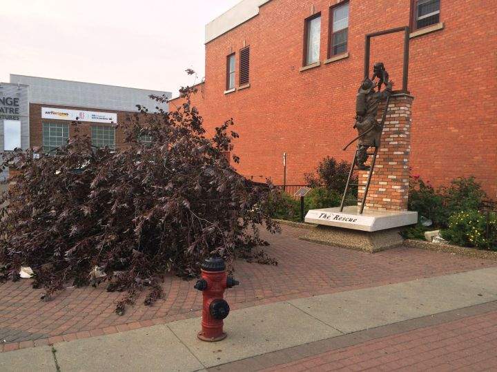 The Edmonton Firefighters Memorial in Old Strathcona was vandalized Friday, July 10, 2015.