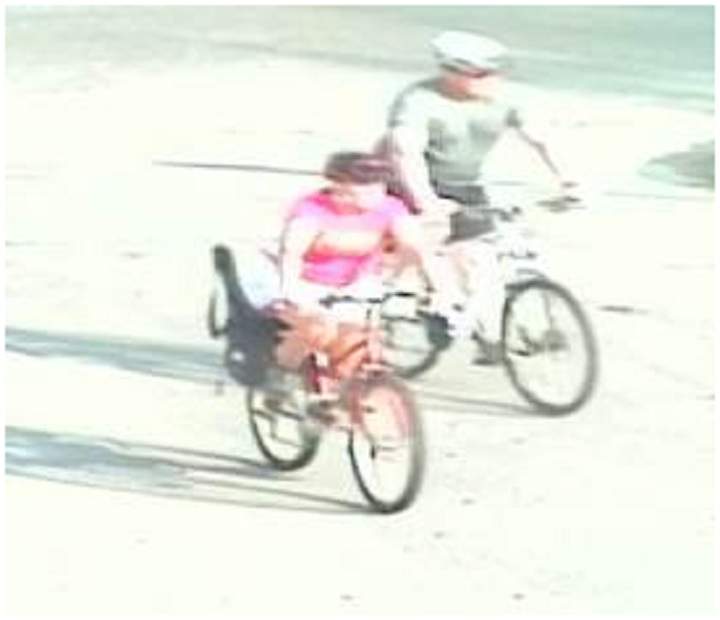 Thelma Krull missing witnesses Winnipeg