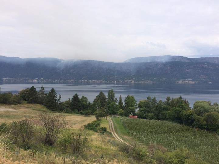Smoke from Westside Road Fire could be seen across the lake on  July 23. 