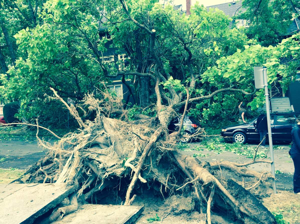 PHOTOS: Largest South Coast storm in a decade causes mass power outages - image