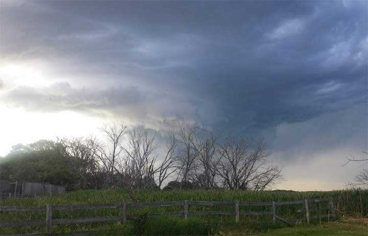 Aug. 4: This Your Saskatchewan photo was taken by Cat Strauss near Corman Park.