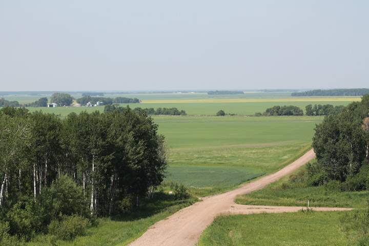Aug. 24: This Your Saskatchewan photo was taken by Linda Coates near Arborfield.