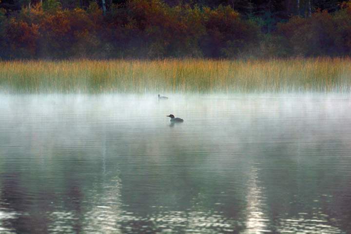 Aug. 26: This Your Saskatchewan photo was taken by Bob Green at Waterhen Lake.