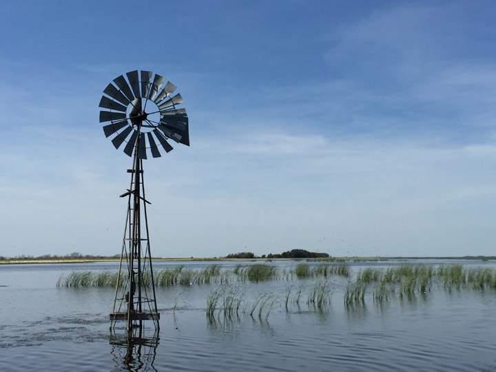 Aug. 27: Rob Cunningham took this Your Saskatchewan photo at Big Quill Lake.