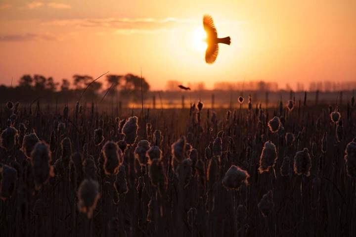 Aug. 31: Teresa Taylor took this Your Saskatchewan photo in Saskatoon.