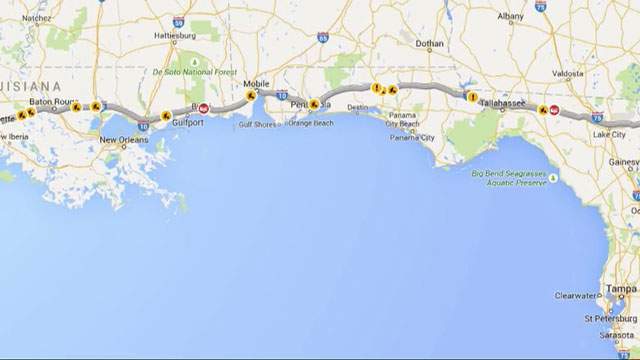 Lost puppy travels 900 miles from Texas to Florida - image