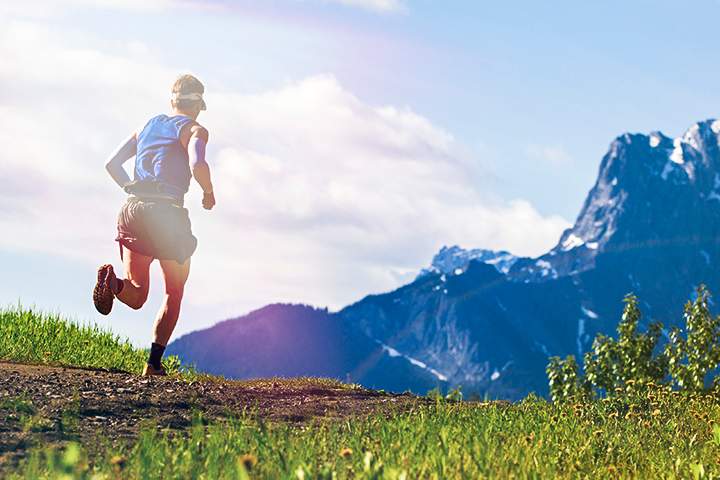 Fitbit fitness trends