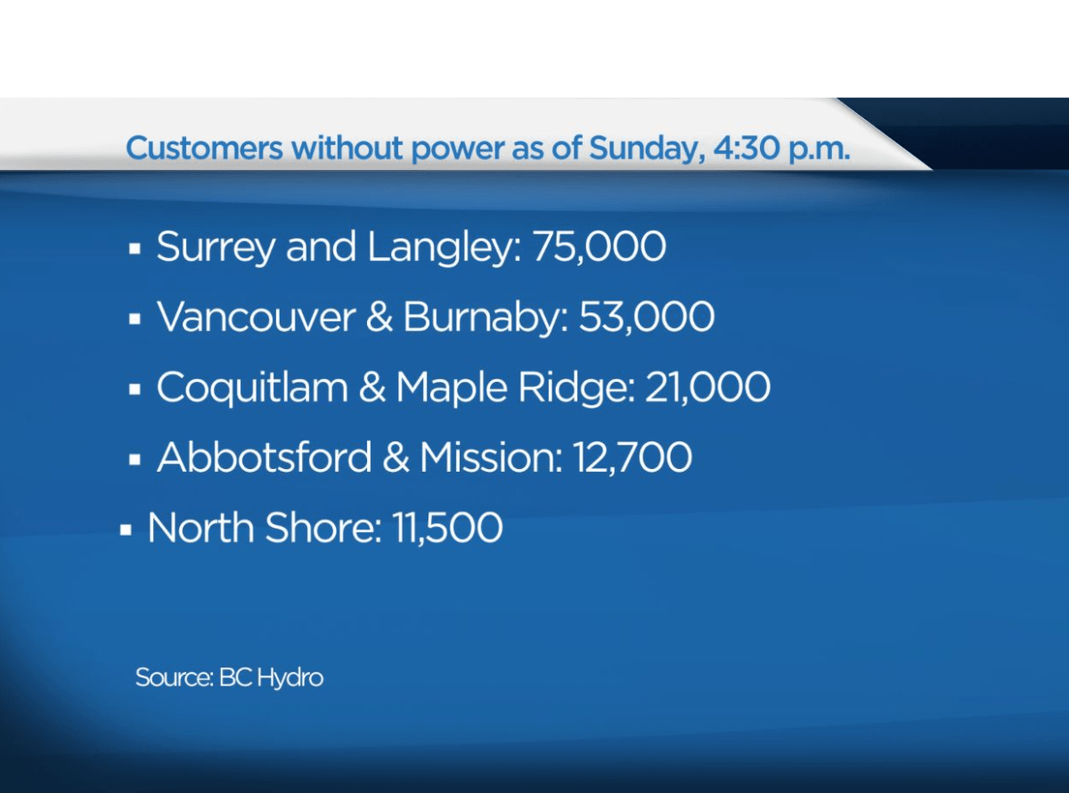 Metro Vancouver officials pleased with storm response - image
