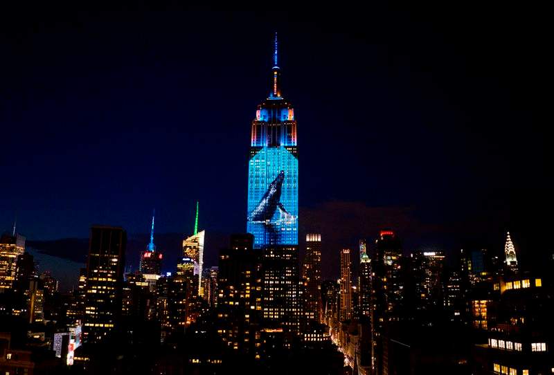 Large images of endangered species are projected on the south facade of The EmpireState Building, Saturday, Aug. 1, 2015, in New York.