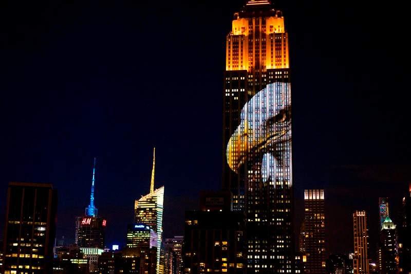 Large images of endangered species are projected on the south facade of The EmpireState Building, Saturday, Aug. 1, 2015, in New York.