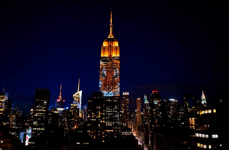 Large images of endangered species are projected on the south facade of The EmpireState Building, Saturday, Aug. 1, 2015, in New York.