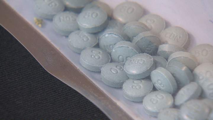 RCMP, doctors worry fentanyl use on the rise in Nova Scotia - image
