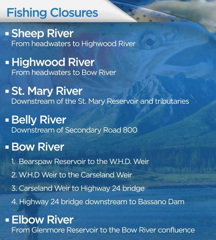 Alberta fly fishers divided on whether fishing bans are extensive enough - image