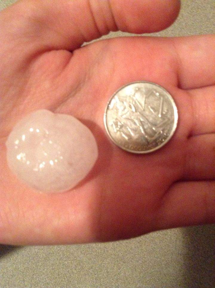 Hail quarter
