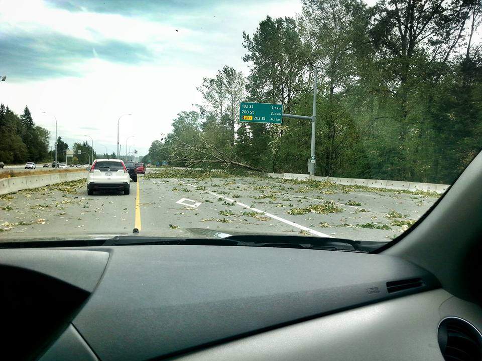 Courtesy Leanne Laine – Highway 1