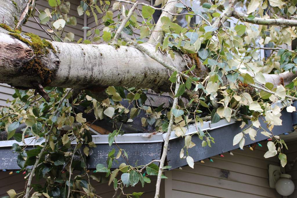 PHOTOS: Largest South Coast storm in a decade causes mass power outages - image
