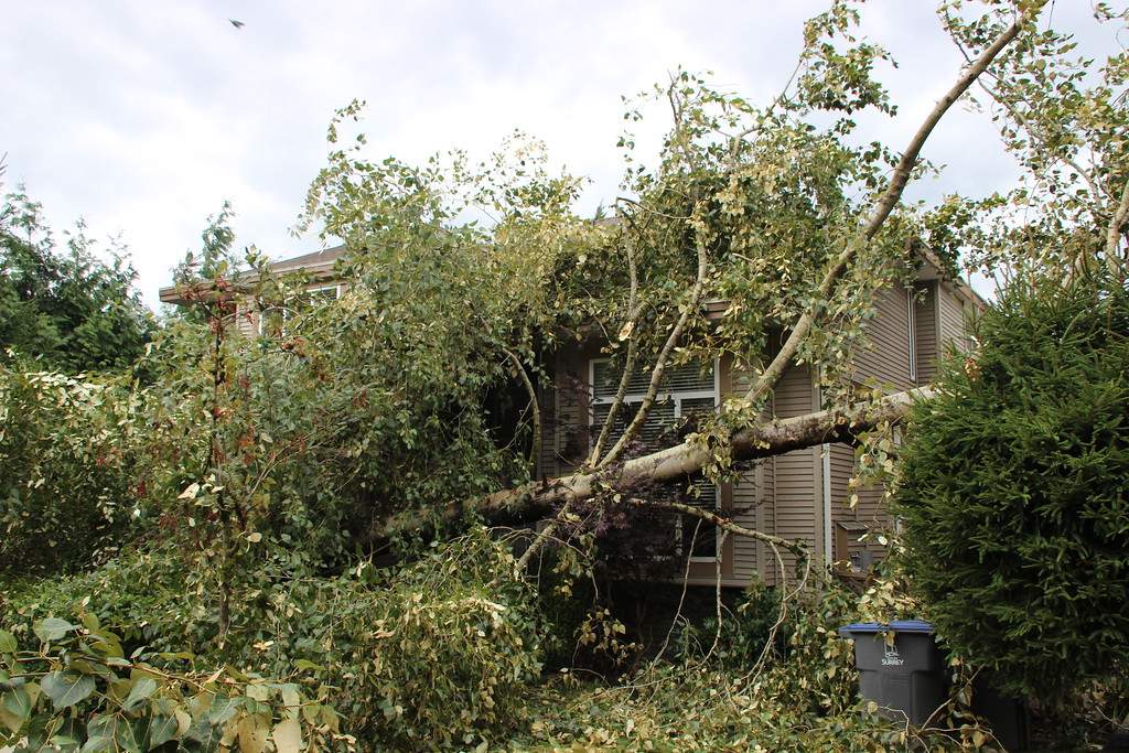 PHOTOS: Largest South Coast storm in a decade causes mass power outages - image